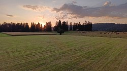 Paysage