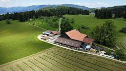 Ferme